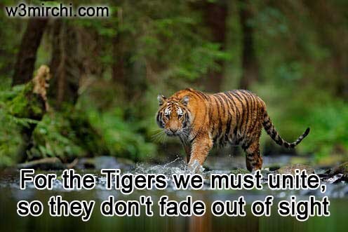 International Tiger Day Quotes